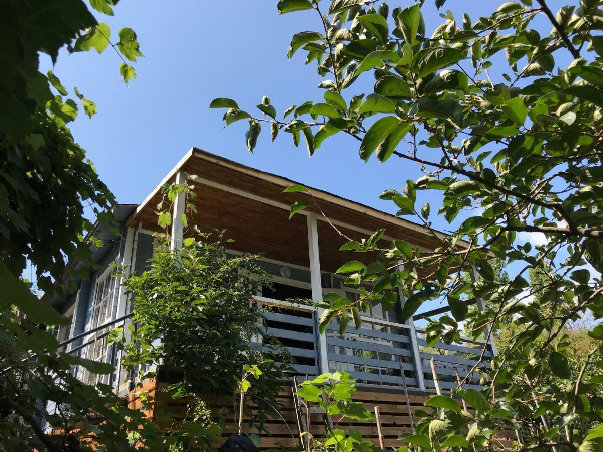 Eco Cottage Marina New Athos 외부 사진